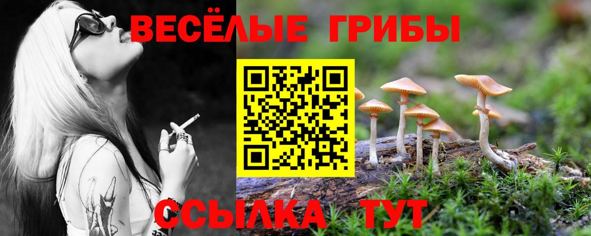 Лангепас  Псилоцибиновые грибы GOLDEN TEACHER  Вход с VPN 